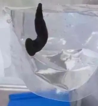 昆明市儿童医院