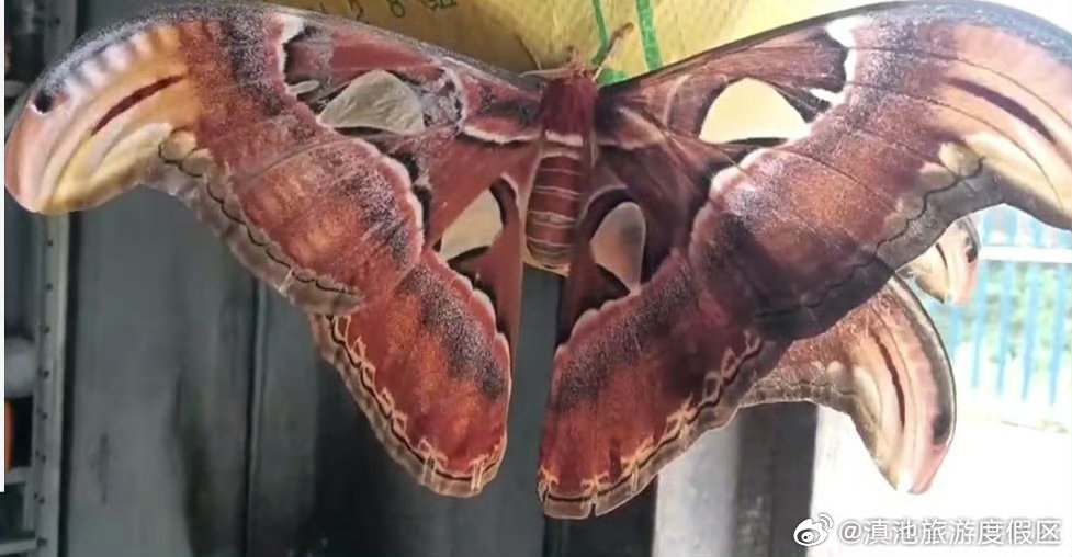 滇池旅游度假区