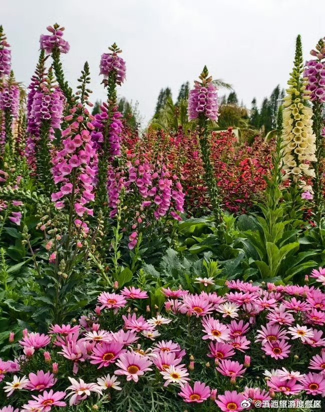 滇池旅游度假区