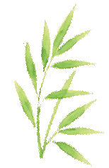 云南省中医医院