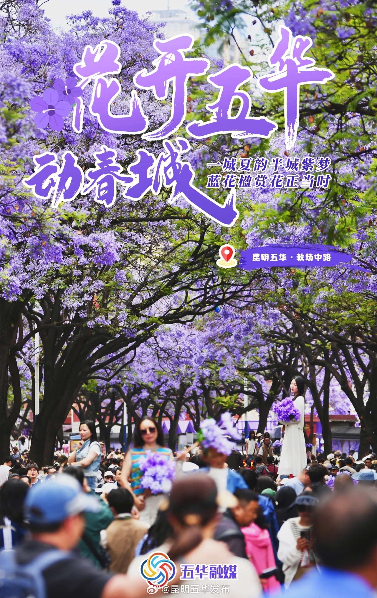 昆明五华发布