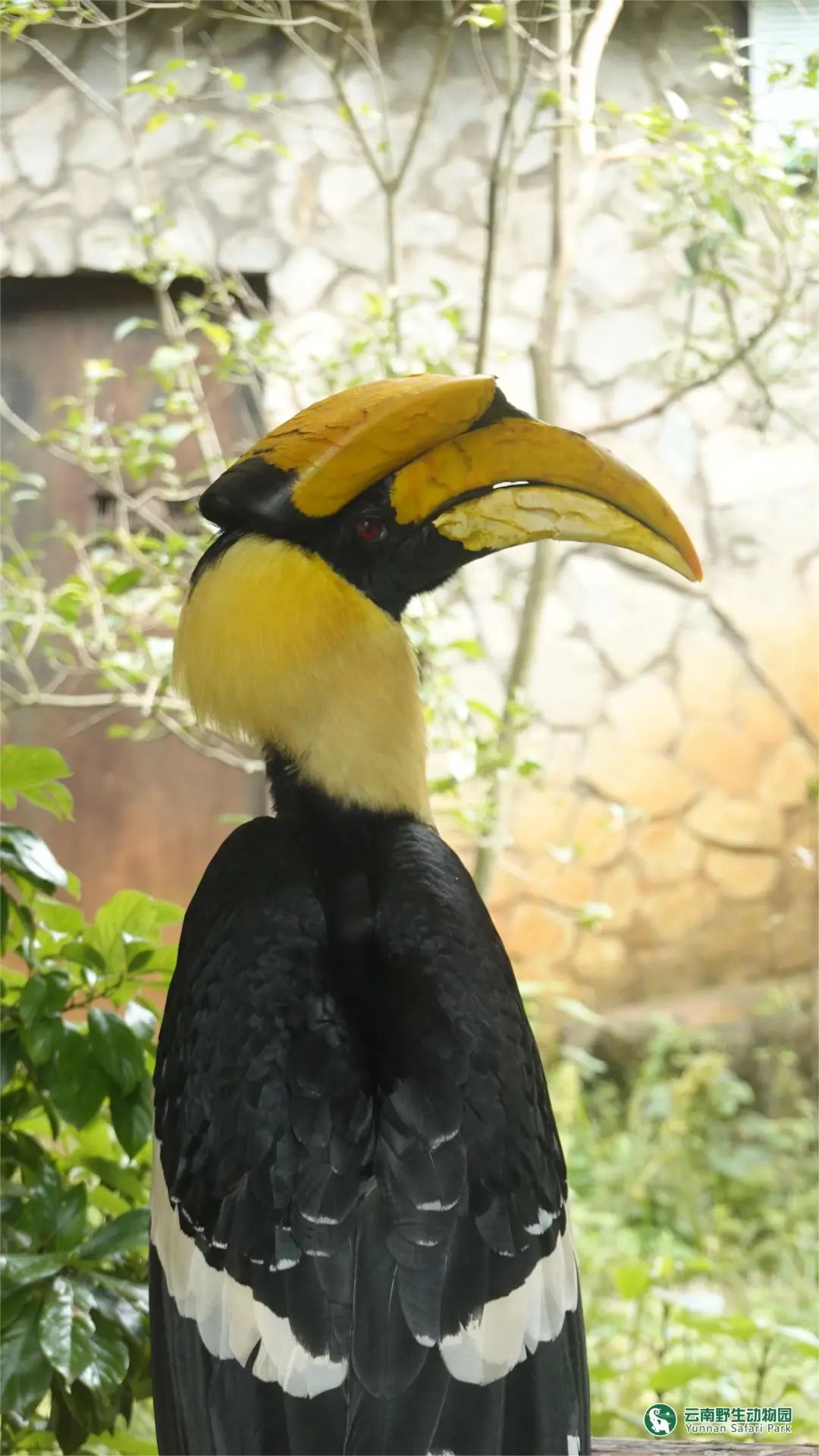 云南野生动物园