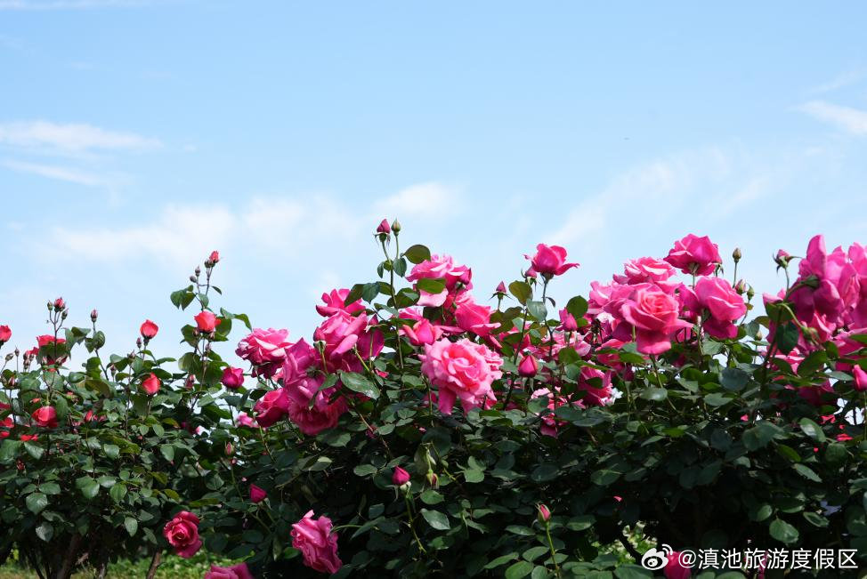 滇池旅游度假区