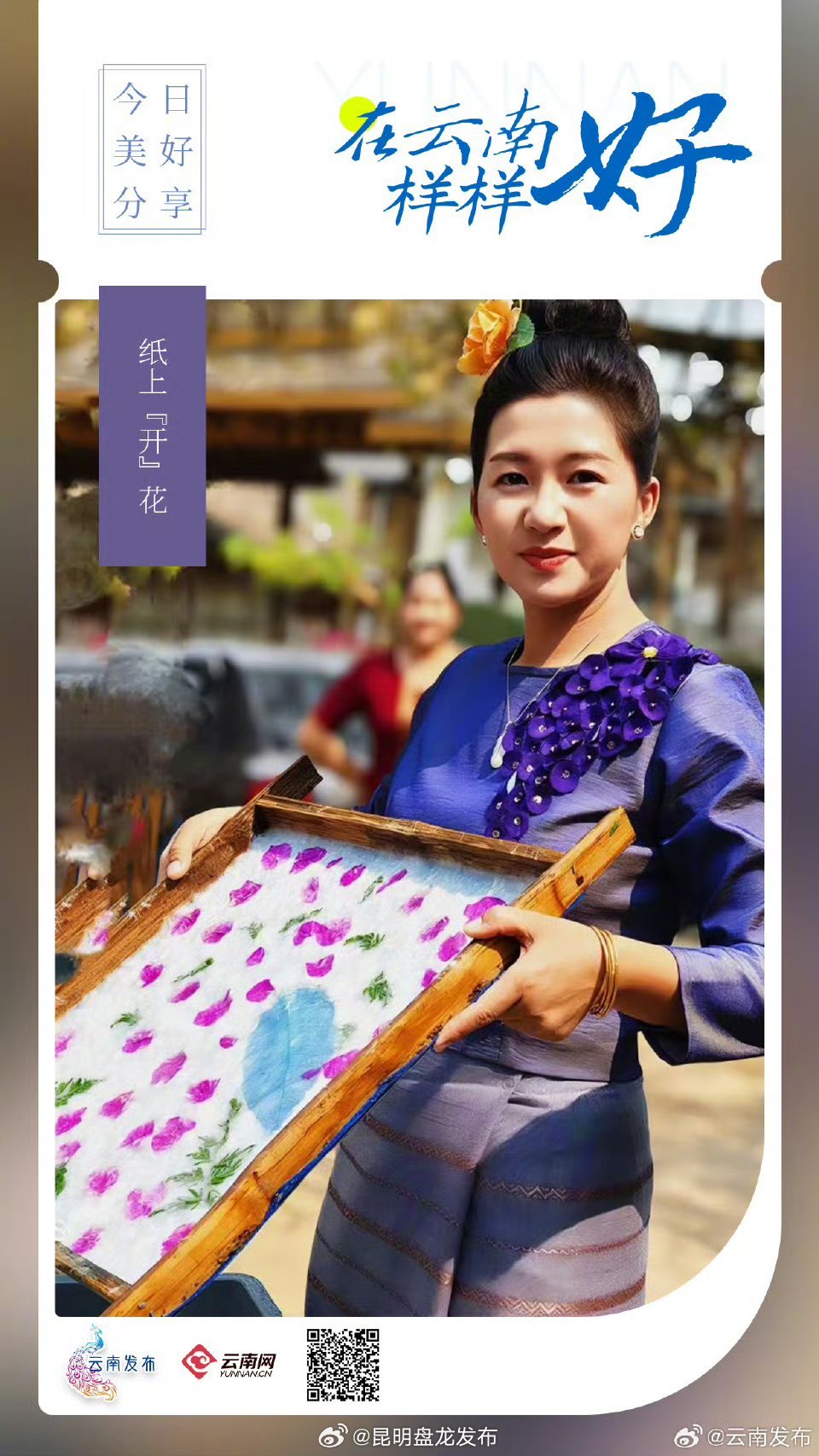 云南西双版纳的纸会开花