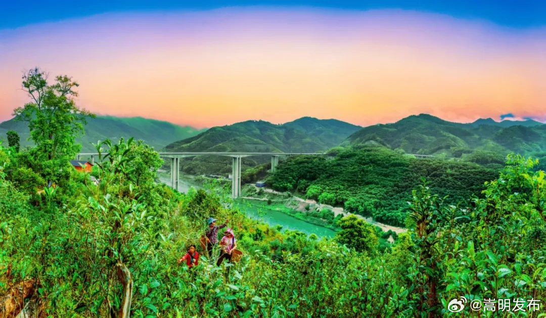 临沧茶·尊天下 | 喝茶旅游首选这里