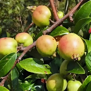 昆明市中医医院