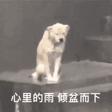 昆明西山教育体育