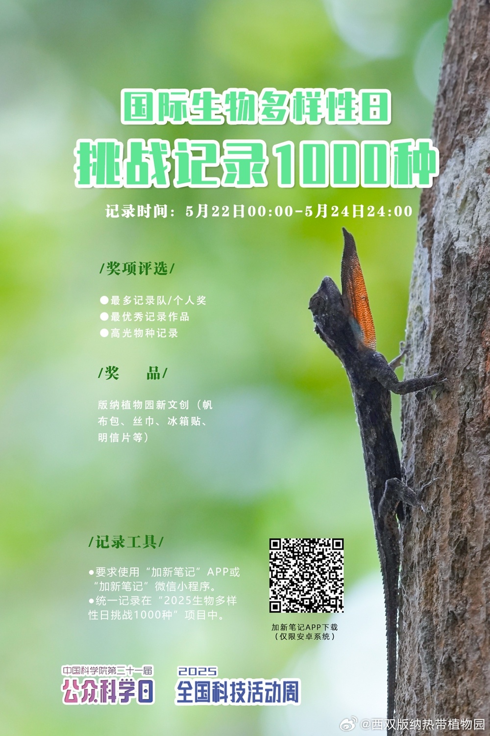 西双版纳热带植物园