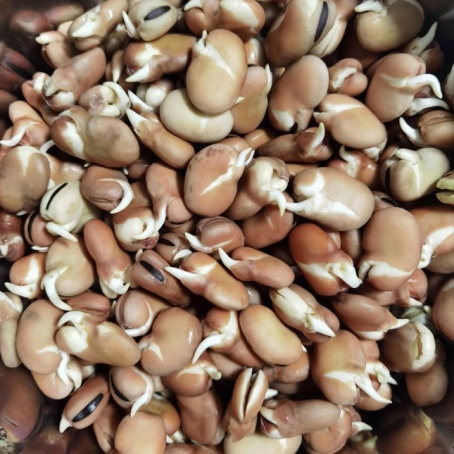 昆明市中医医院