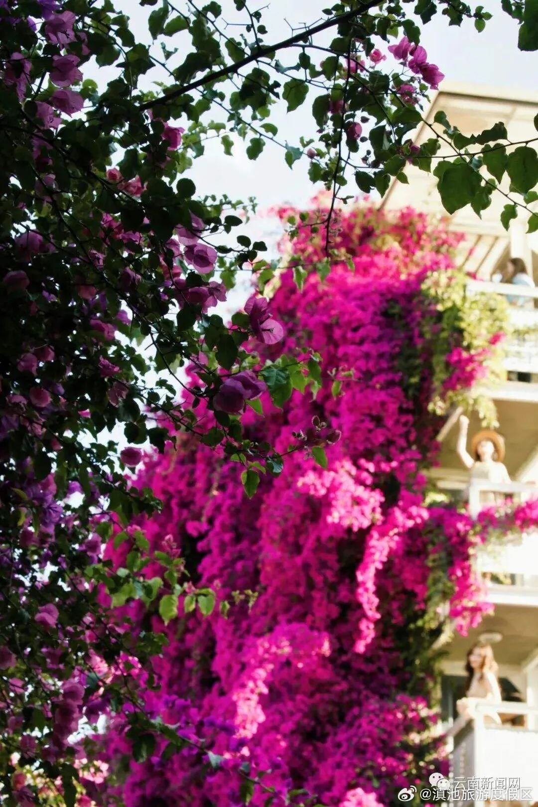 滇池旅游度假区