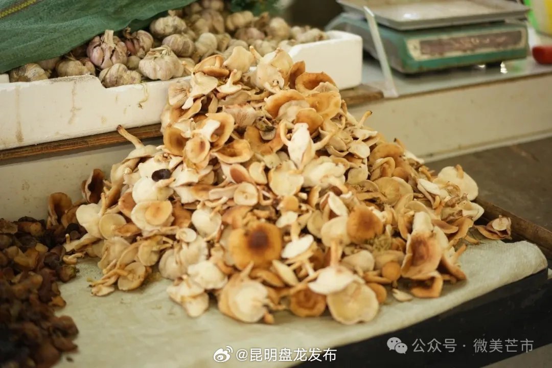昆明盘龙发布