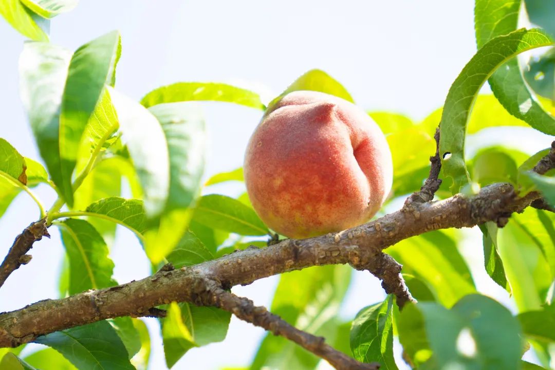 晋宁 诗意的栖居地