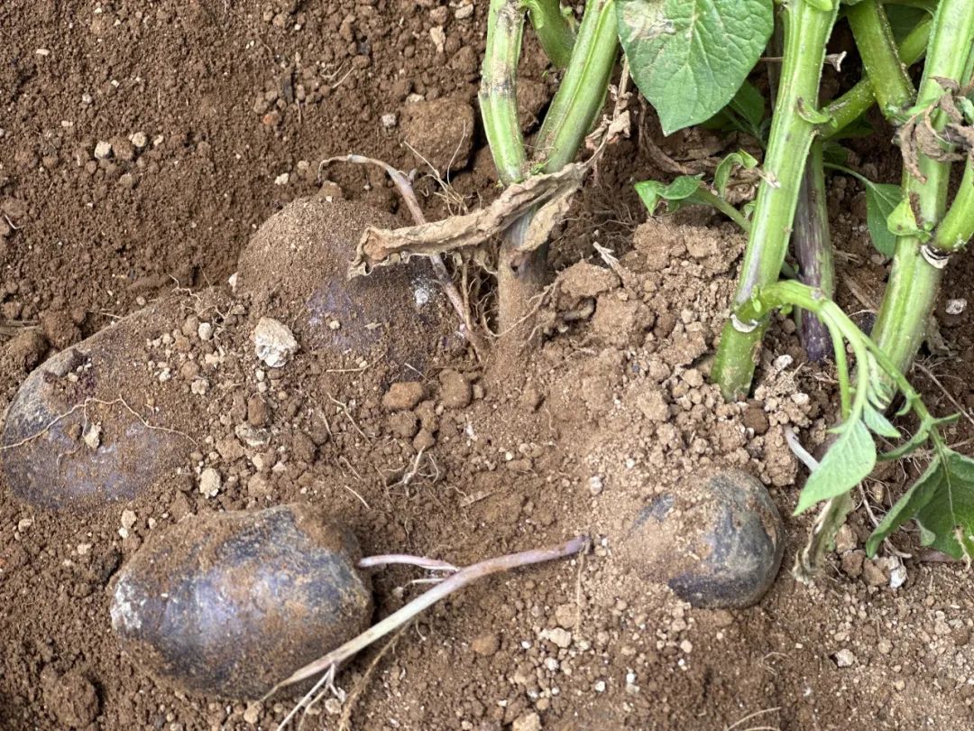 晋宁 诗意的栖居地