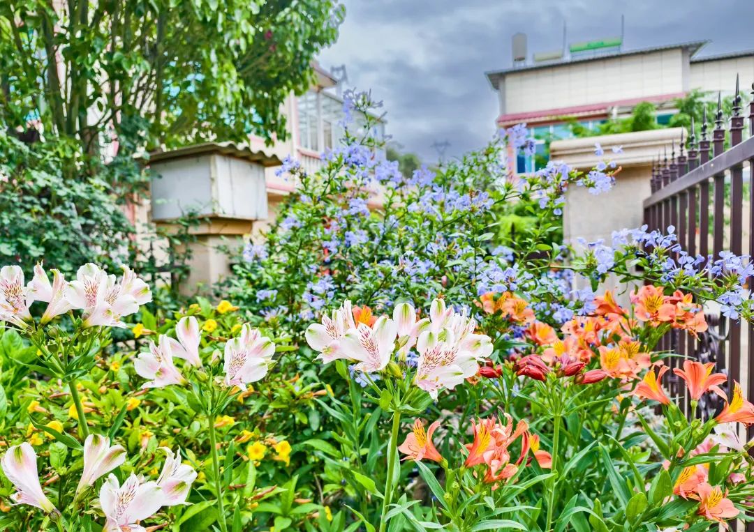 晋宁 诗意的栖居地