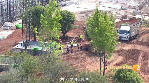 昆明信息港微博