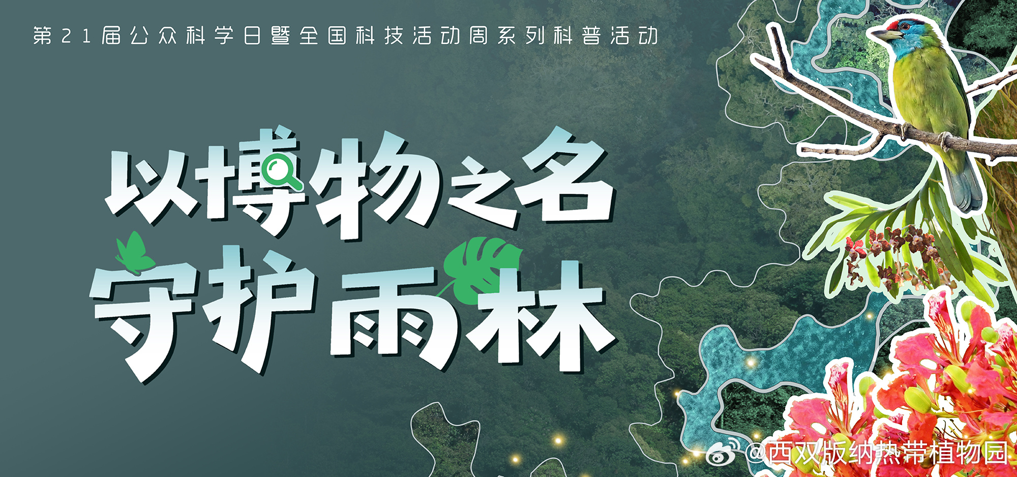 西双版纳热带植物园