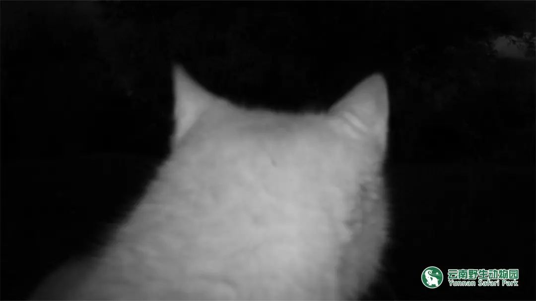 云南野生动物园