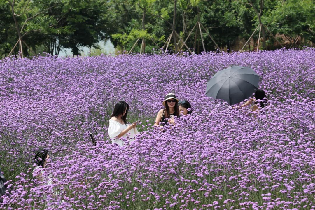 昆明阳宗海风景名胜区