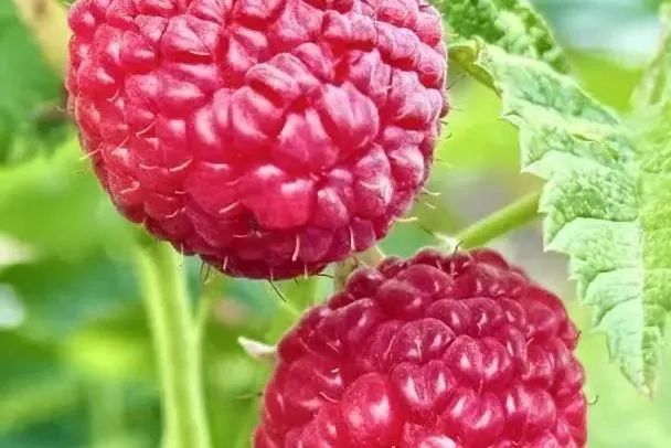 晋宁 诗意的栖居地