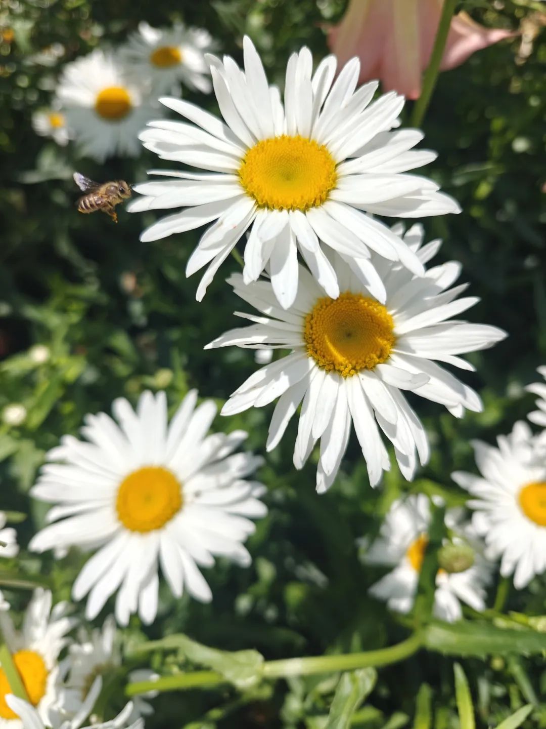 昆明市昙华寺公园