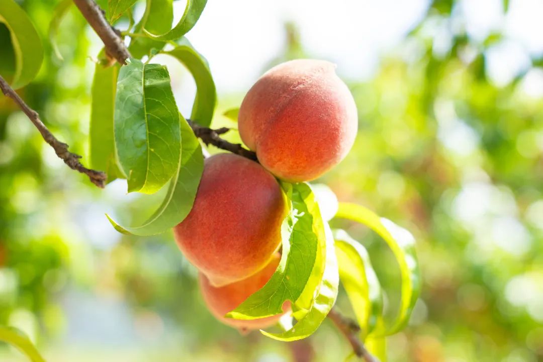 晋宁 诗意的栖居地