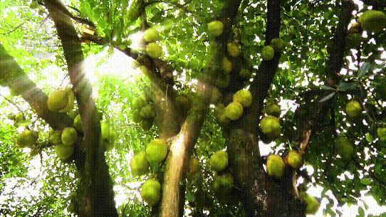 滇池旅游度假区