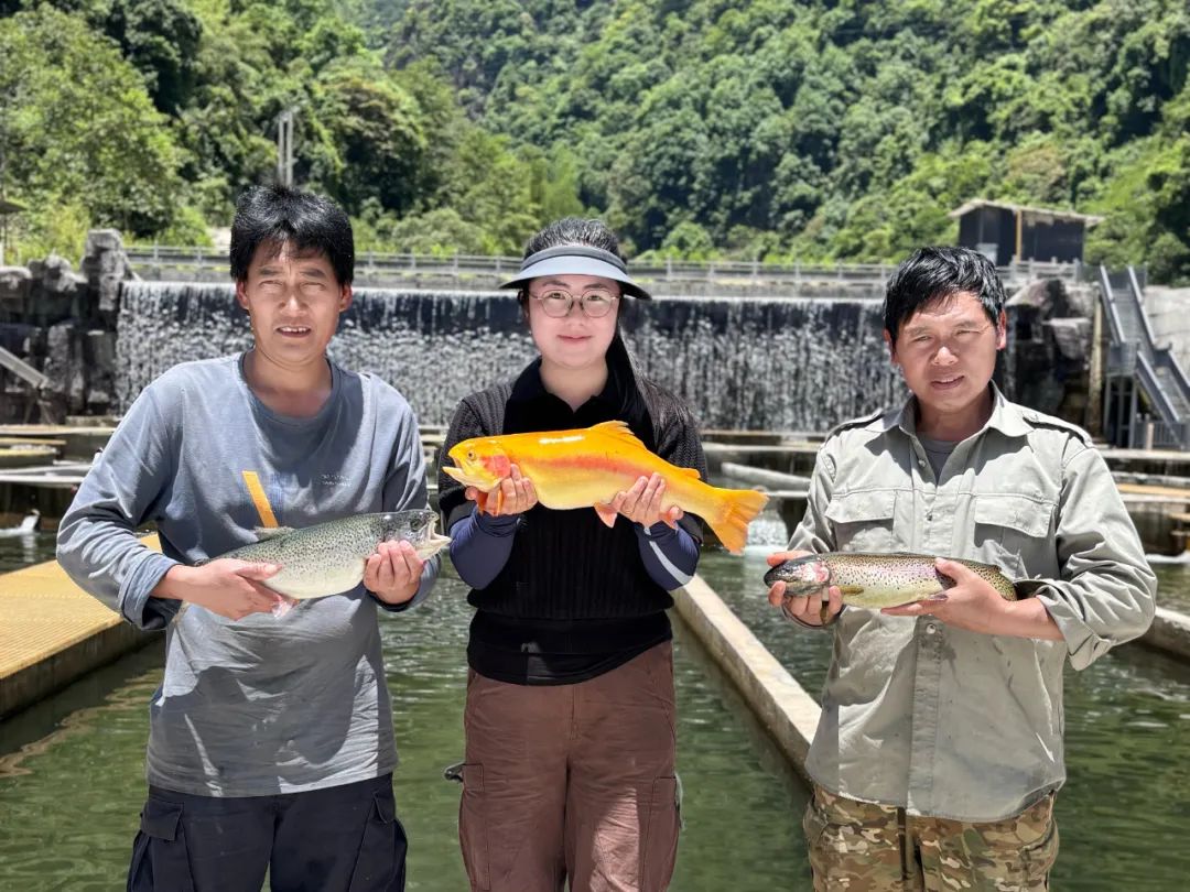 福贡先锋