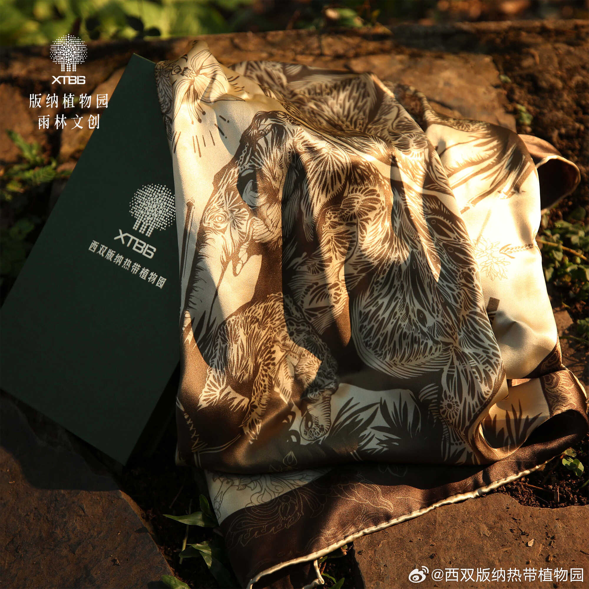 西双版纳热带植物园