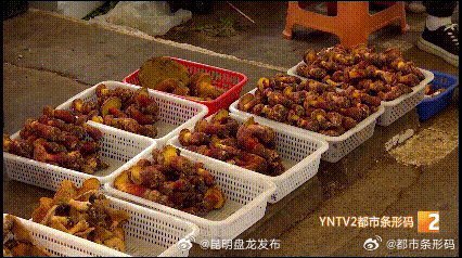 昆明盘龙发布