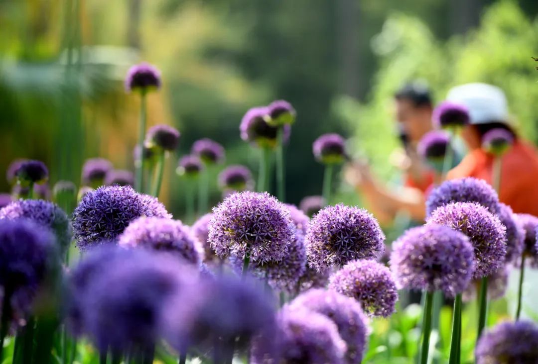 昆明阳宗海风景名胜区