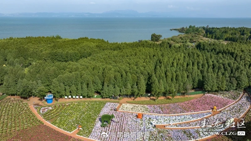 昆明信息港微博