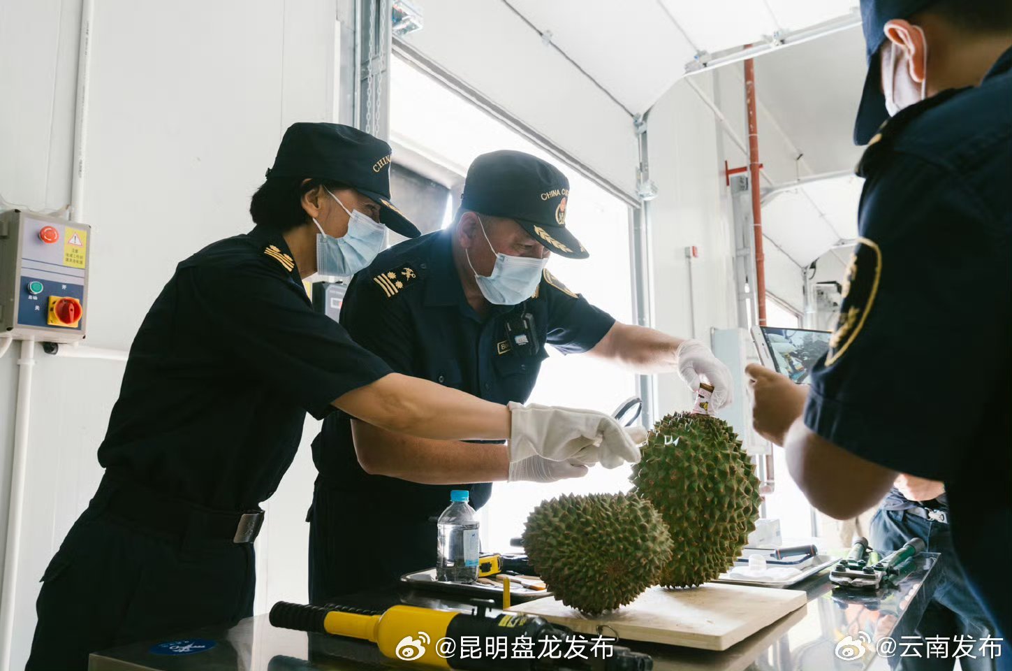 昆明盘龙发布