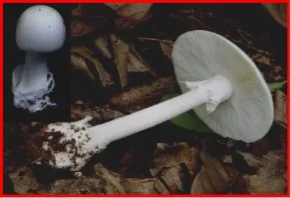 云南广播电视台