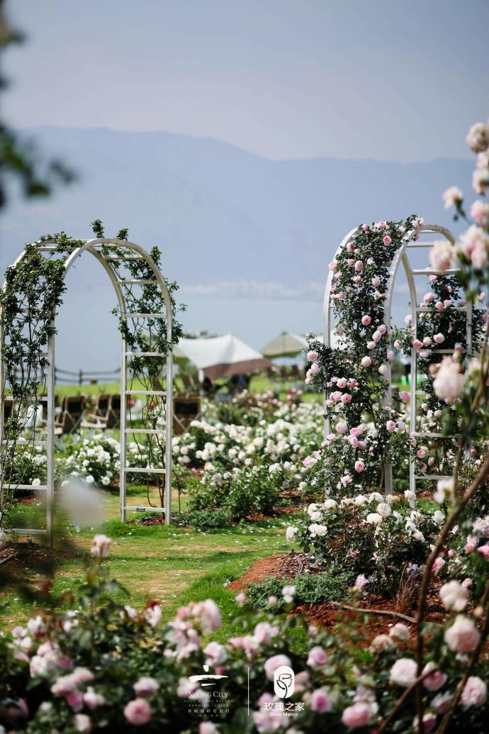 昆明阳宗海风景名胜区