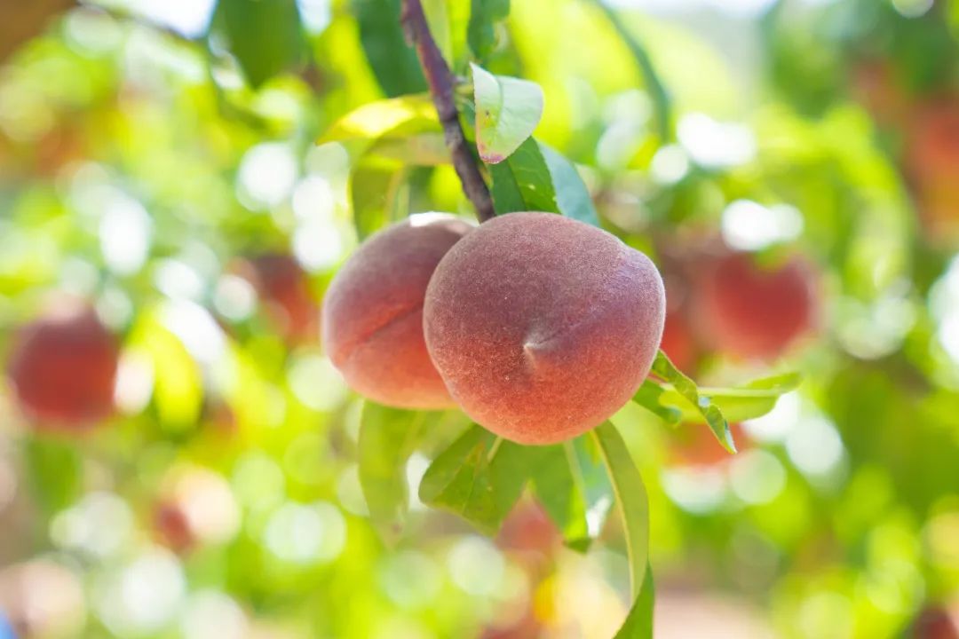 晋宁 诗意的栖居地