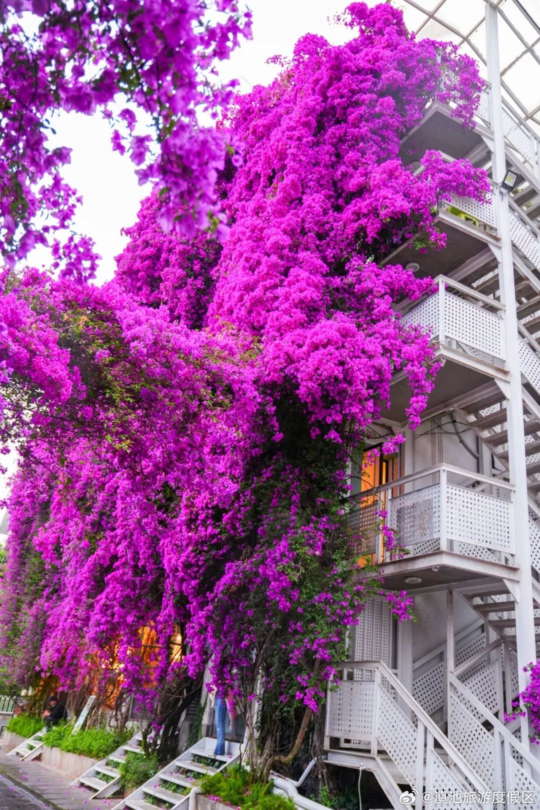 滇池旅游度假区