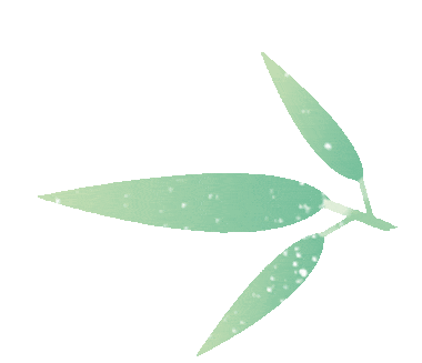 保山新闻网