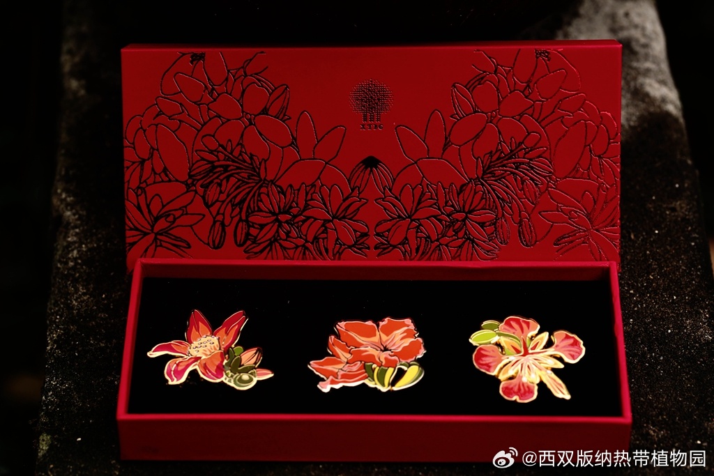 西双版纳热带植物园