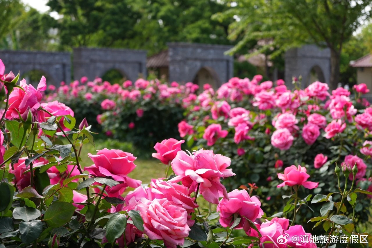 滇池旅游度假区