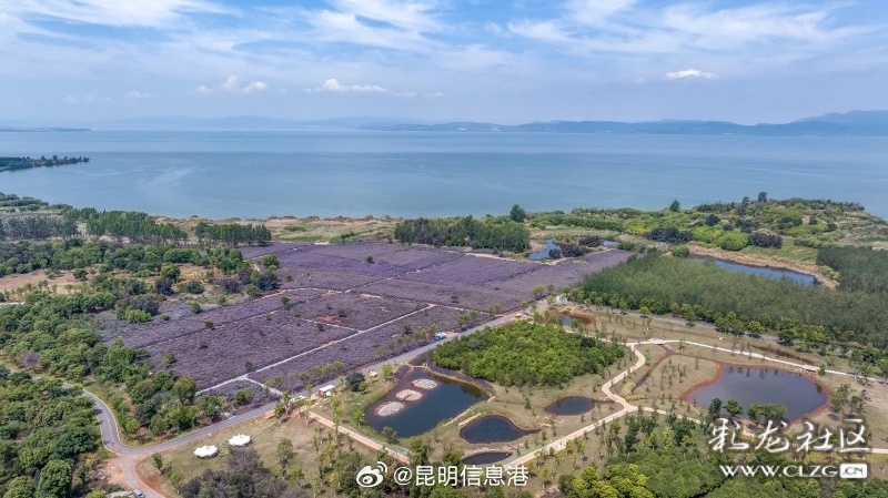 昆明信息港微博