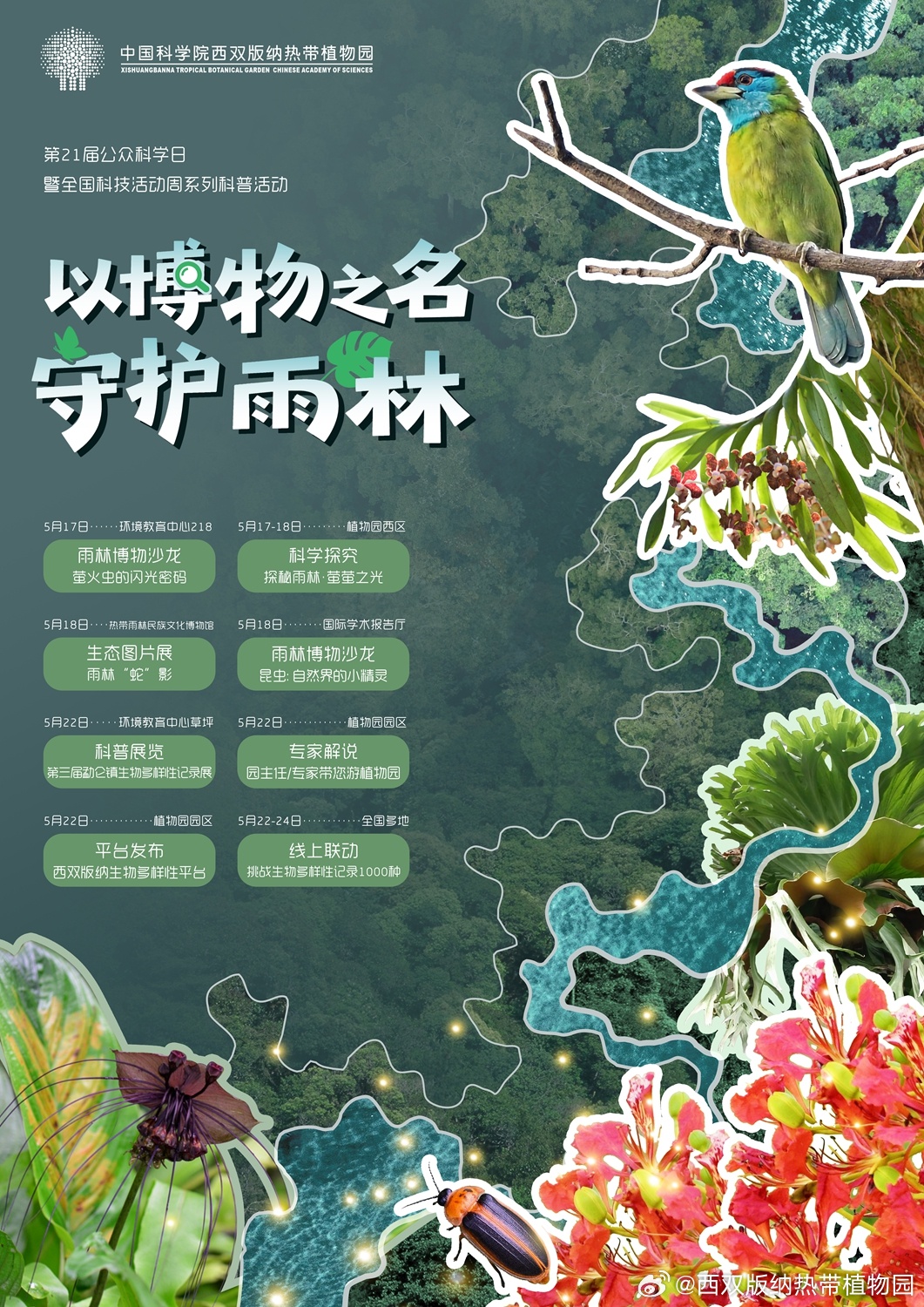 西双版纳热带植物园
