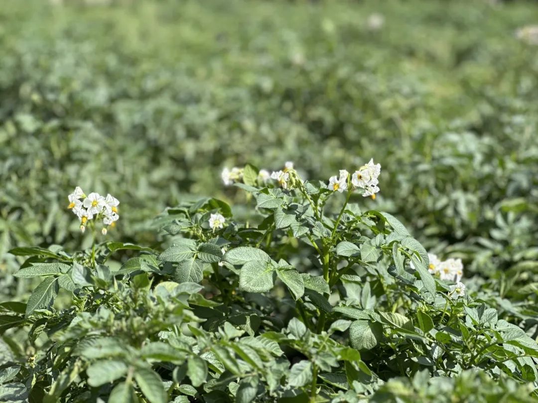 晋宁 诗意的栖居地