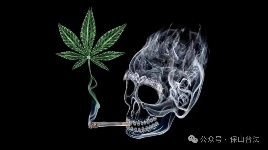 保山新闻网