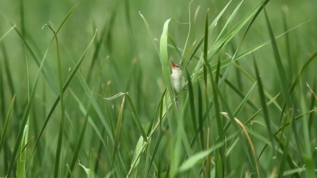 晋宁 诗意的栖居地