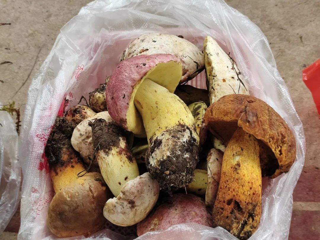 晋宁 诗意的栖居地