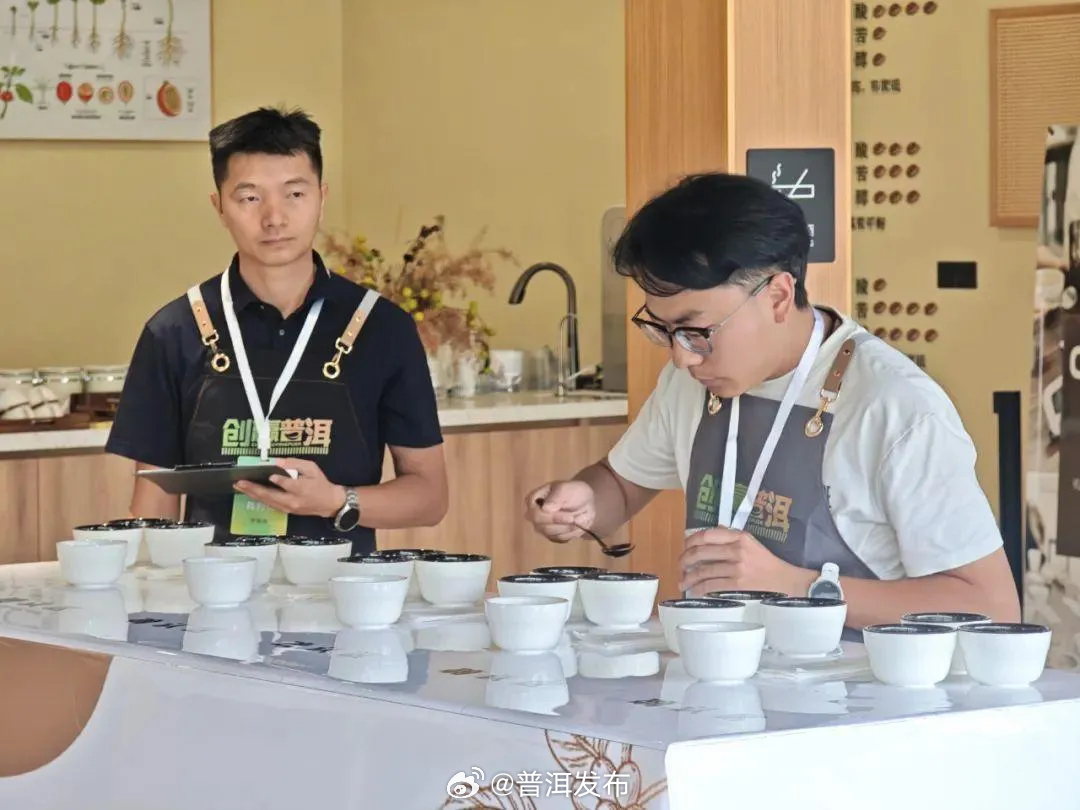 技能盛宴！普洱打造“创赢普洱”赛事品牌 点燃产业新引擎