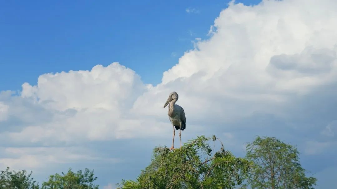 晋宁 诗意的栖居地