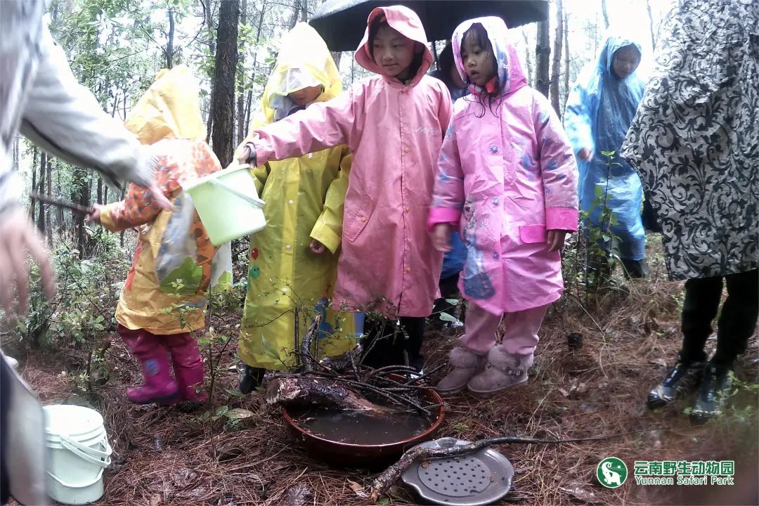 云南野生动物园