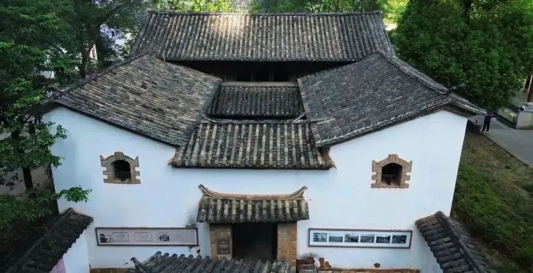 微观盘龙