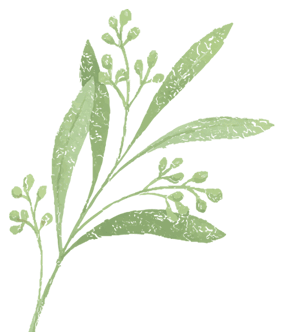 云南省中医医院